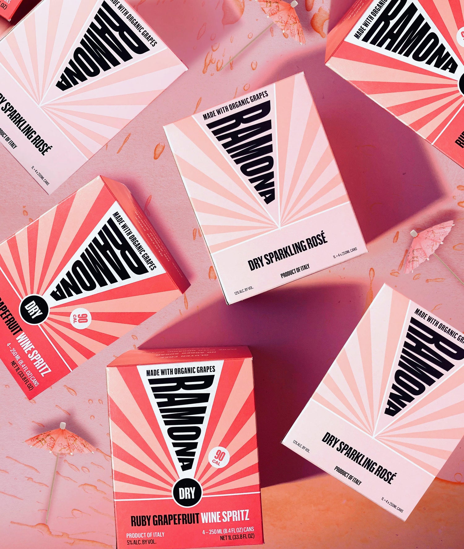 Limited Edition: The Dry Not Shy Pack (6-Pack)